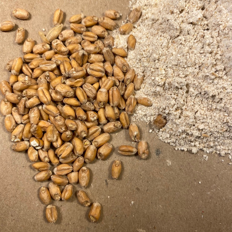 Why are naturally fermented products “healthier?”