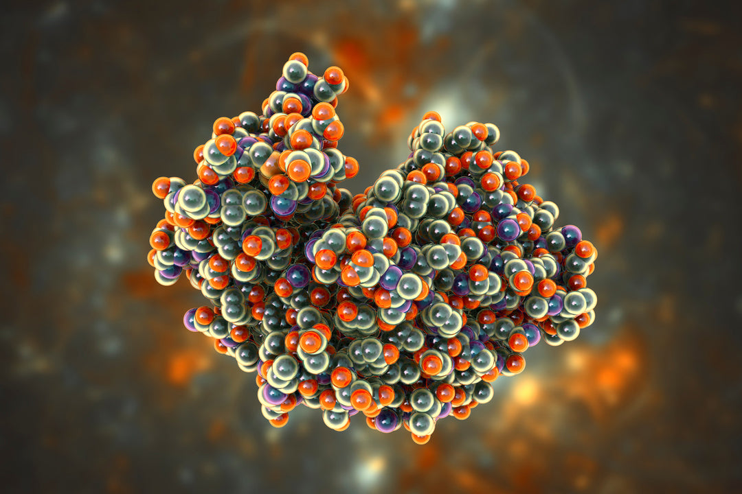 Enzyme activity in natural fermentation