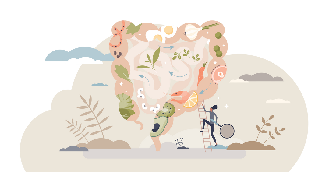 How does sourdough help gut health?