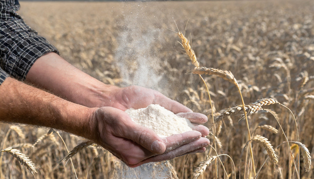 What ingredients do we select?