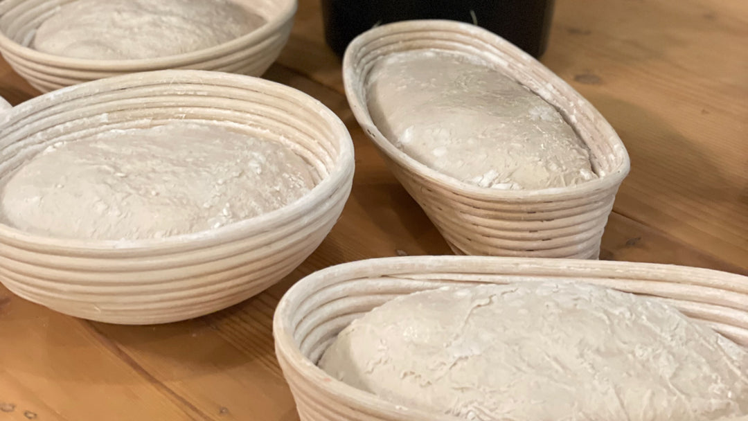 How does sourdough fermentation improve nutrition absorbtion ?