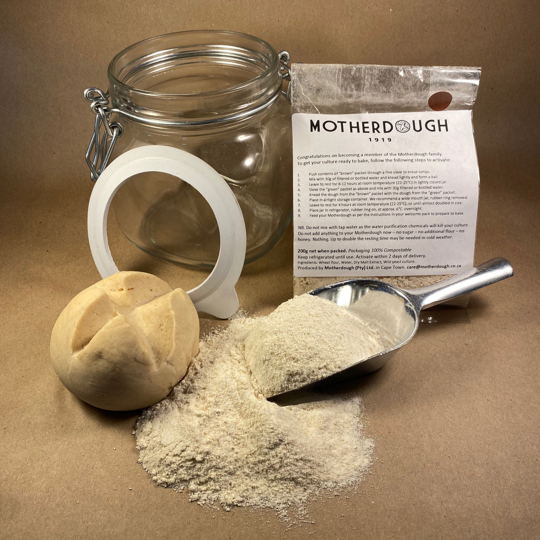 "Alfonsina" | ReadyDough Sourdough Starter with Glass Storage Jar